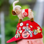 Wie Köln und Kwasniok die Bundesliga aufmischen