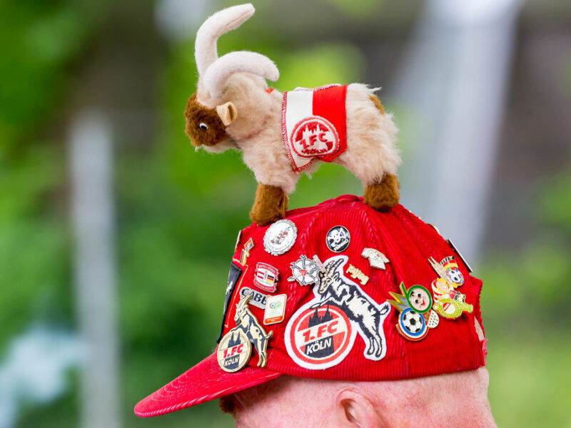 Wie Köln und Kwasniok die Bundesliga aufmischen